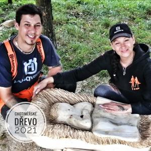 Dřevo