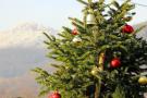 Rozsvěcení vánočního stromku 2021  1