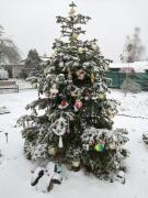 Rozsvěcení vánočního stromku 1