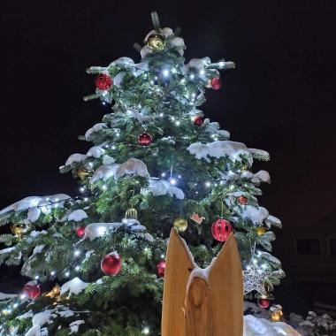 Rozsvěcení vánočního stromku 